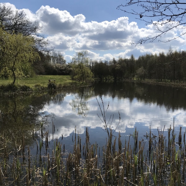 334 Belper Road Stanley Common NGS Gardens